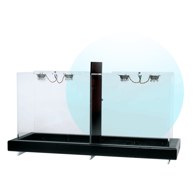 Conditioned Place Preference (2 Compartment)